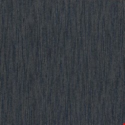 Shaw Dynamo: Cleverish 24