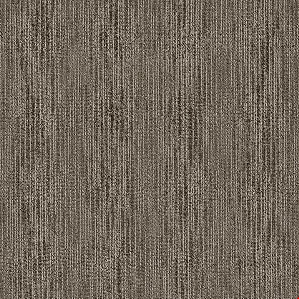 Shaw Dynamo: Masterful 24" x 24" Carpet Tile 54857 57505
