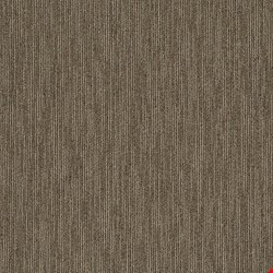 Shaw Dynamo: Scholarly 24