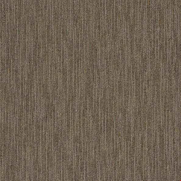 Shaw Dynamo: Scholarly 24" x 24" Carpet Tile 54857 57705