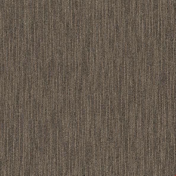 Shaw Dynamo: Smarts 24" x 24" Carpet Tile 54857 57710