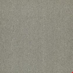 Shaw Counterpart: In Tandem 24