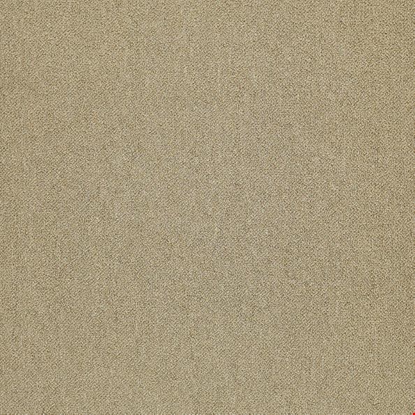 Shaw Counterpart: Copy Cat 24" x 24" Carpet Tile 54816 16200