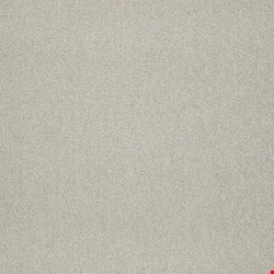 Shaw Counterpart: Body Double 24