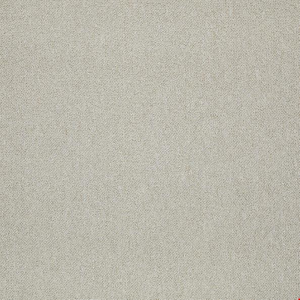 Shaw Counterpart: Body Double 24" x 24" Carpet Tile 54816 16500