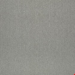 Shaw Counterpart: Correlate 24