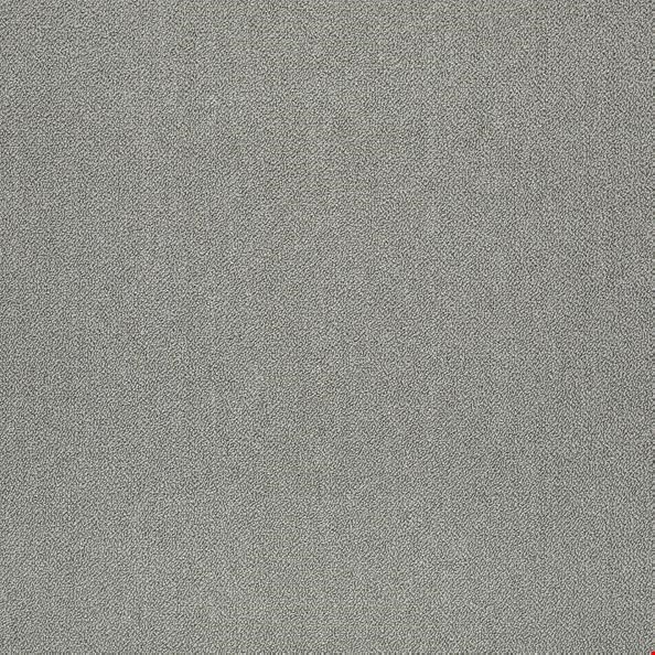 Shaw Counterpart: Correlate 24" x 24" Carpet Tile 54816 16505