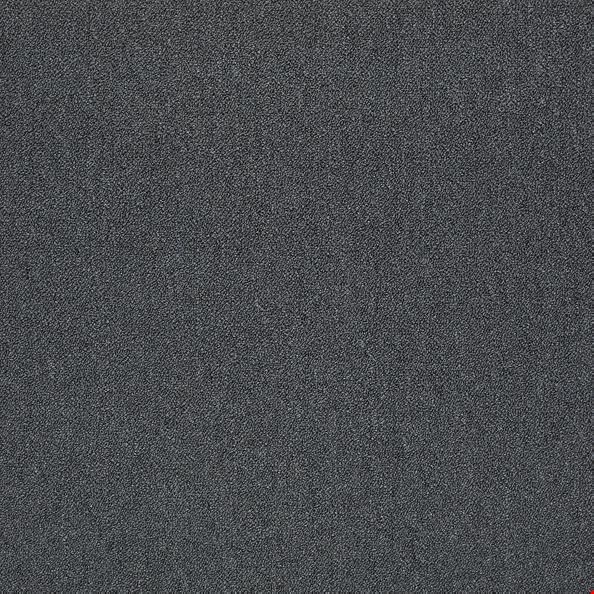 Shaw Counterpart: Shadow 24" x 24" Carpet Tile 54816 16509