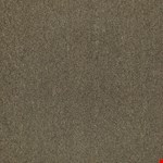 Spitting Image 16705