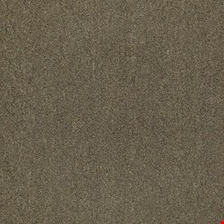 Shaw Counterpart: Spitting Image 24