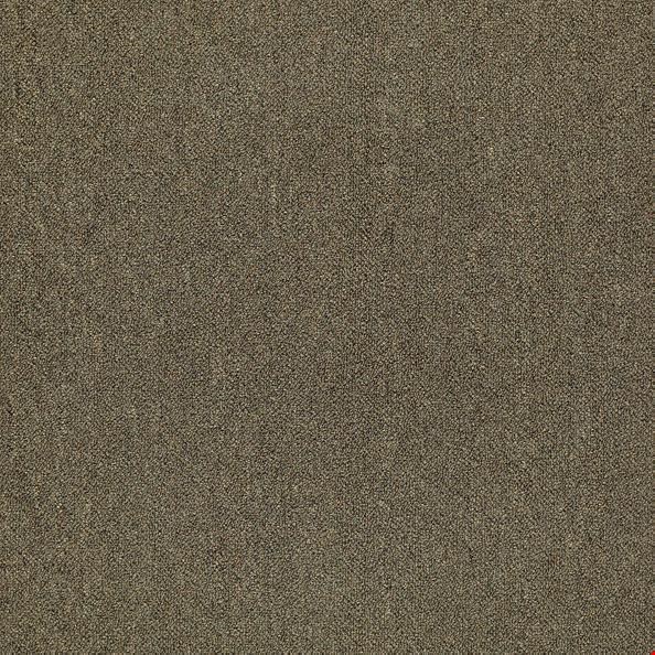 Shaw Counterpart: Spitting Image 24" x 24" Carpet Tile 54816 16705