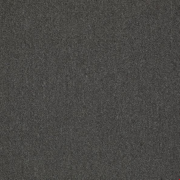 Shaw Counterpart: Impersonator 24" x 24" Carpet Tile 54816 16710