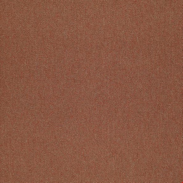 Shaw Counterpart: Accomplice 24" x 24" Carpet Tile 54816 16800