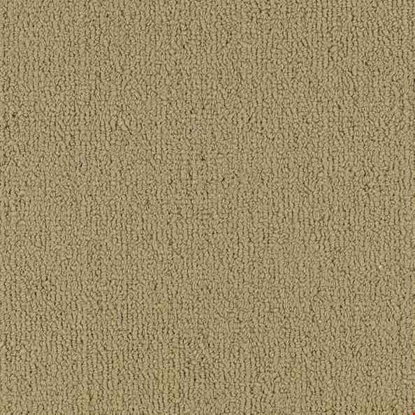 Shaw Color Accents: Gilded 24" x 24" Carpet Tile 54462 62103