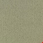 Light Taupe 62104