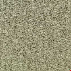 Shaw Color Accents: Light Taupe 24