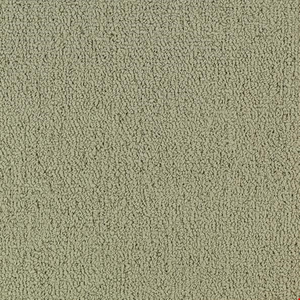 Shaw Color Accents: Light Taupe 24" x 24" Carpet Tile 54462 62104