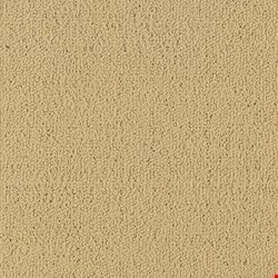 Shaw Color Accents: Flax 24