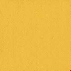 Shaw Color Accents: Citrus 24