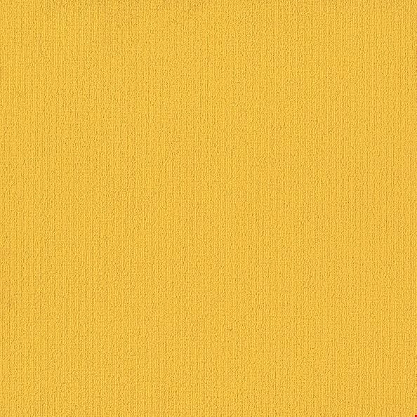 Shaw Color Accents: Citrus 24" x 24" Carpet Tile 54462 62201