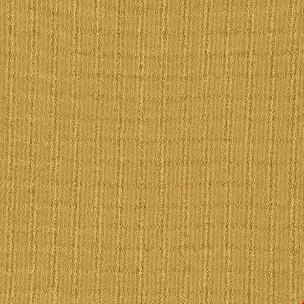Shaw Color Accents: Ochre 24" x 24" Carpet Tile 54462 62210