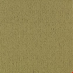 Shaw Color Accents: Herbal 24