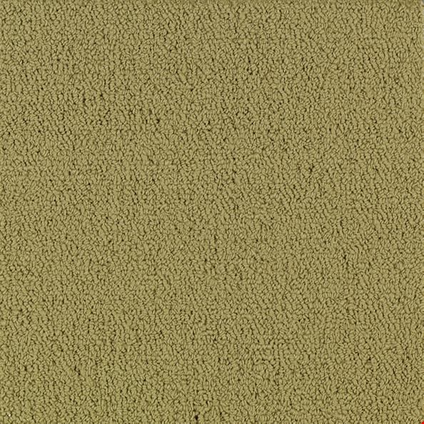 Shaw Color Accents: Herbal 24" x 24" Carpet Tile 54462 62302