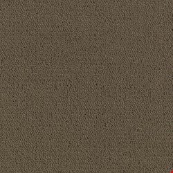 Shaw Color Accents: Timber 24