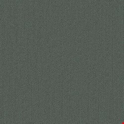 Shaw Color Accents: Eucalyptus 24