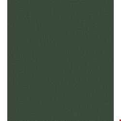 Shaw Color Accents: Cyprus 24