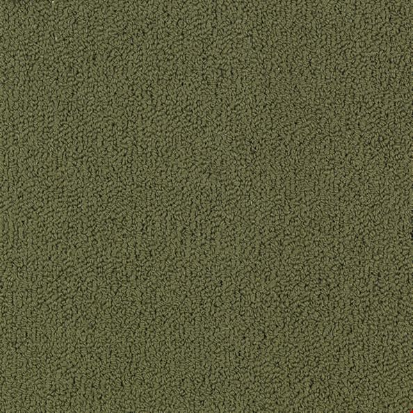 Shaw Color Accents: Ivy 24" x 24" Carpet Tile 54462 62335