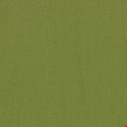 Shaw Color Accents: Green 24