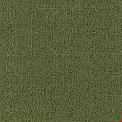 Shaw Color Accents: Cactus 24