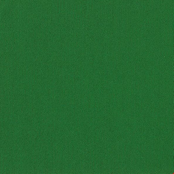 Shaw Color Accents: Dark Green 24" x 24" Carpet Tile 54462 62375
