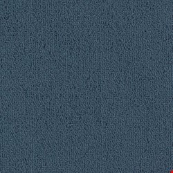 Shaw Color Accents: Ink 24