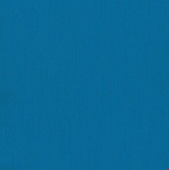 Shaw Color Accents: Blue 24" x 24" Carpet Tile 54462 62407