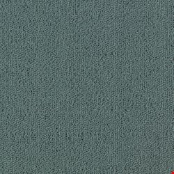 Shaw Color Accents: Nordic 24