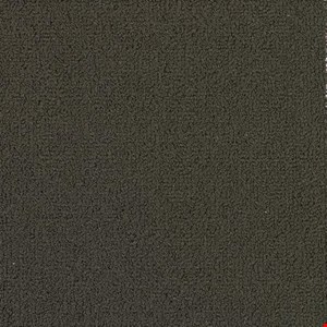 Shaw Color Accents: Ebony 24" x 24" Carpet Tile 54462 62500