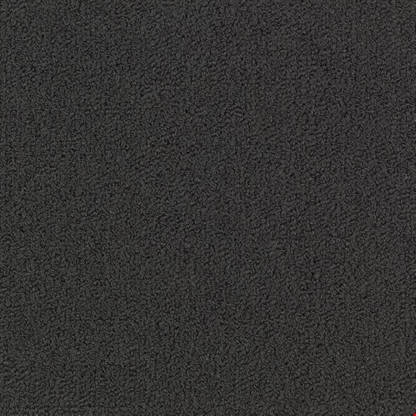 Shaw Color Accents: Black 24" x 24" Carpet Tile 54462 62505