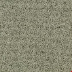 Shaw Color Accents: Grey Metal 24