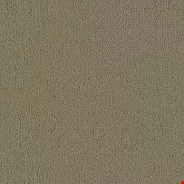 Shaw Color Accents: Lichen 24