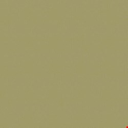 Shaw Color Accents: Fescue 24