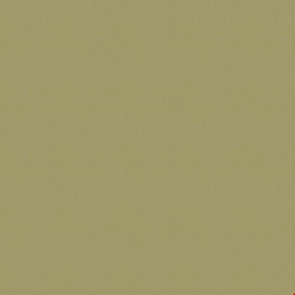 Shaw Color Accents: Fescue 24" x 24" Carpet Tile 54462 62545