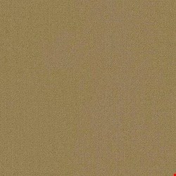 Shaw Color Accents: Aloe 24