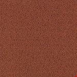Russet 62665