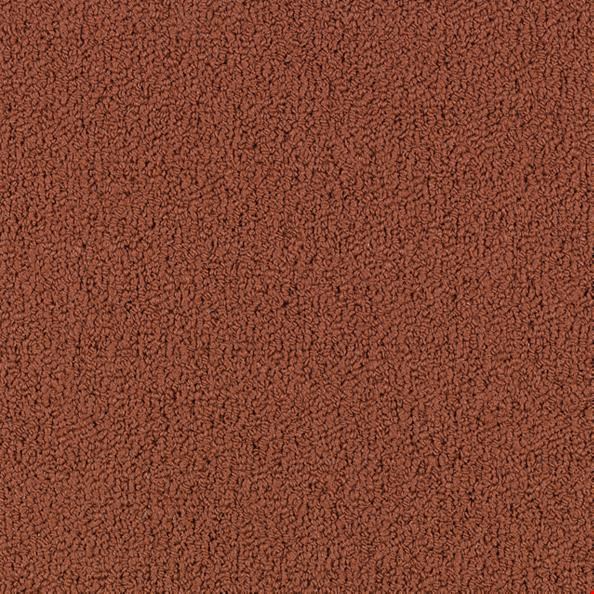 Shaw Color Accents: Russet 24" x 24" Carpet Tile 54462 62665