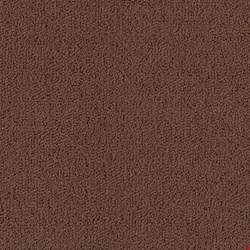 Shaw Color Accents: Chocolate 24