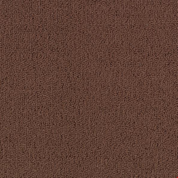 Shaw Color Accents: Chocolate 24" x 24" Carpet Tile 54462 62713