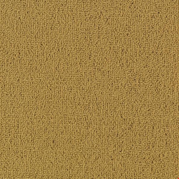 Shaw Color Accents: Brasserie 24" x 24" Carpet Tile 54462 62725