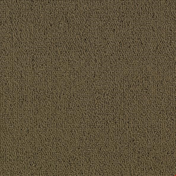 Shaw Color Accents: Suede 24" x 24" Carpet Tile 54462 62740